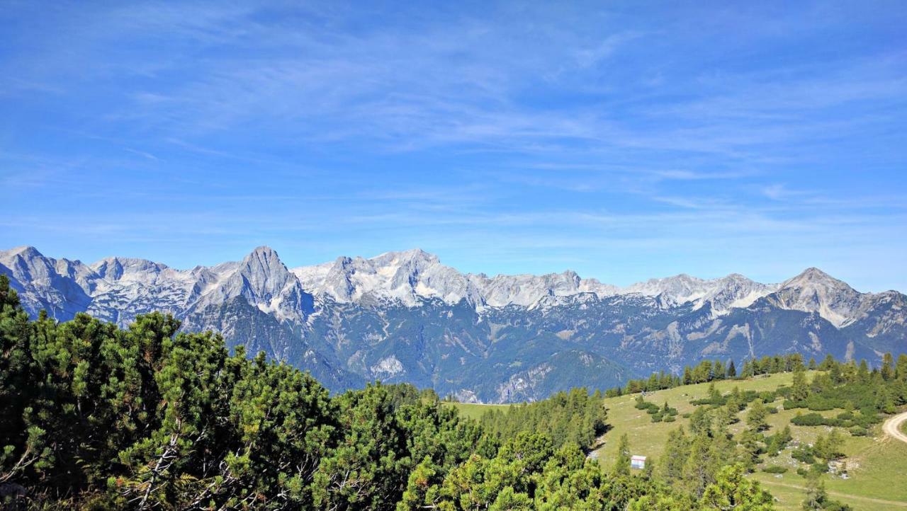 Ferienbungalow Mountain View Wood Vila Spital Am Pyhrn Exterior foto